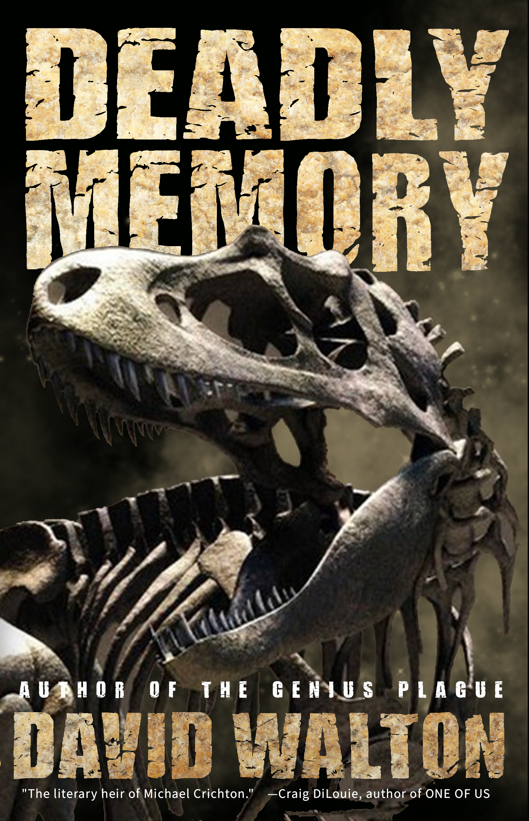 deadlymemorycover-ebook